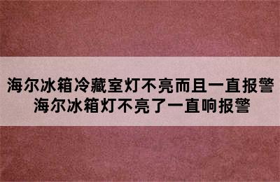 海尔冰箱冷藏室灯不亮而且一直报警 海尔冰箱灯不亮了一直响报警